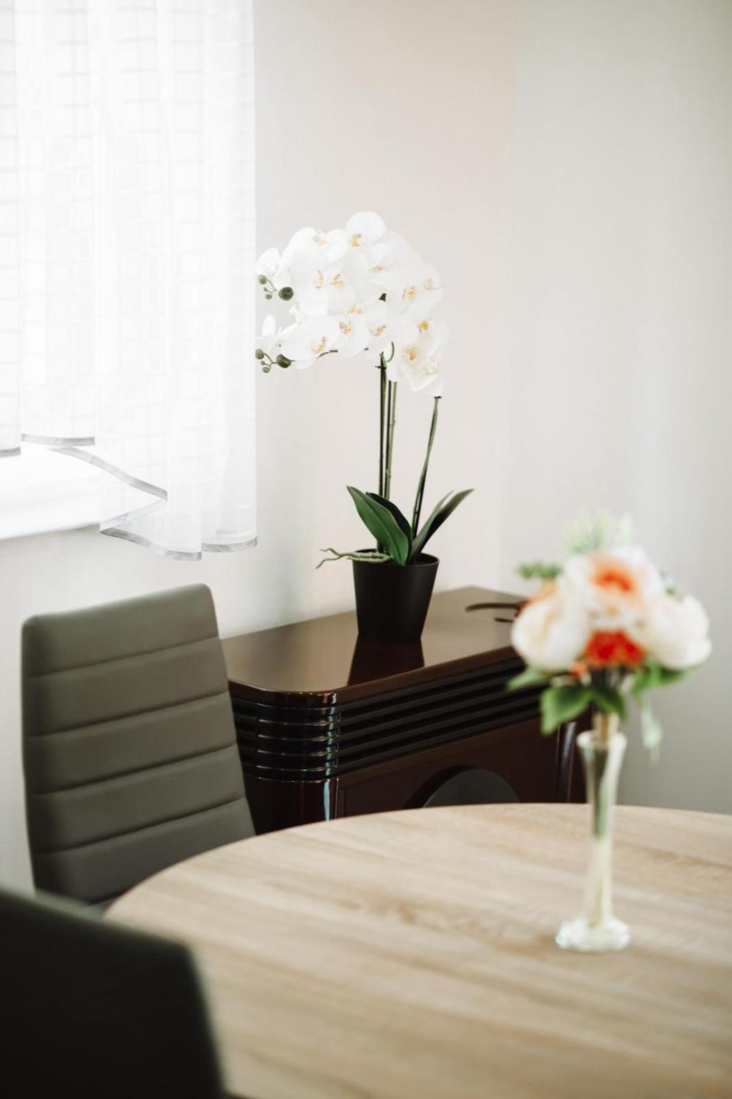 Apartman Sunny Hills Krapina Eksteriør billede